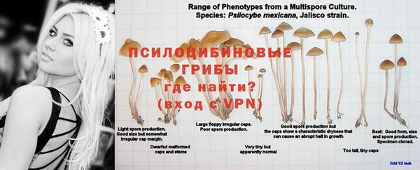 не бодяженный Бородино