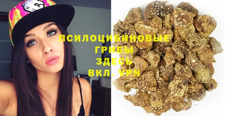 Псилоцибиновые грибы Magic Shrooms  Купино 